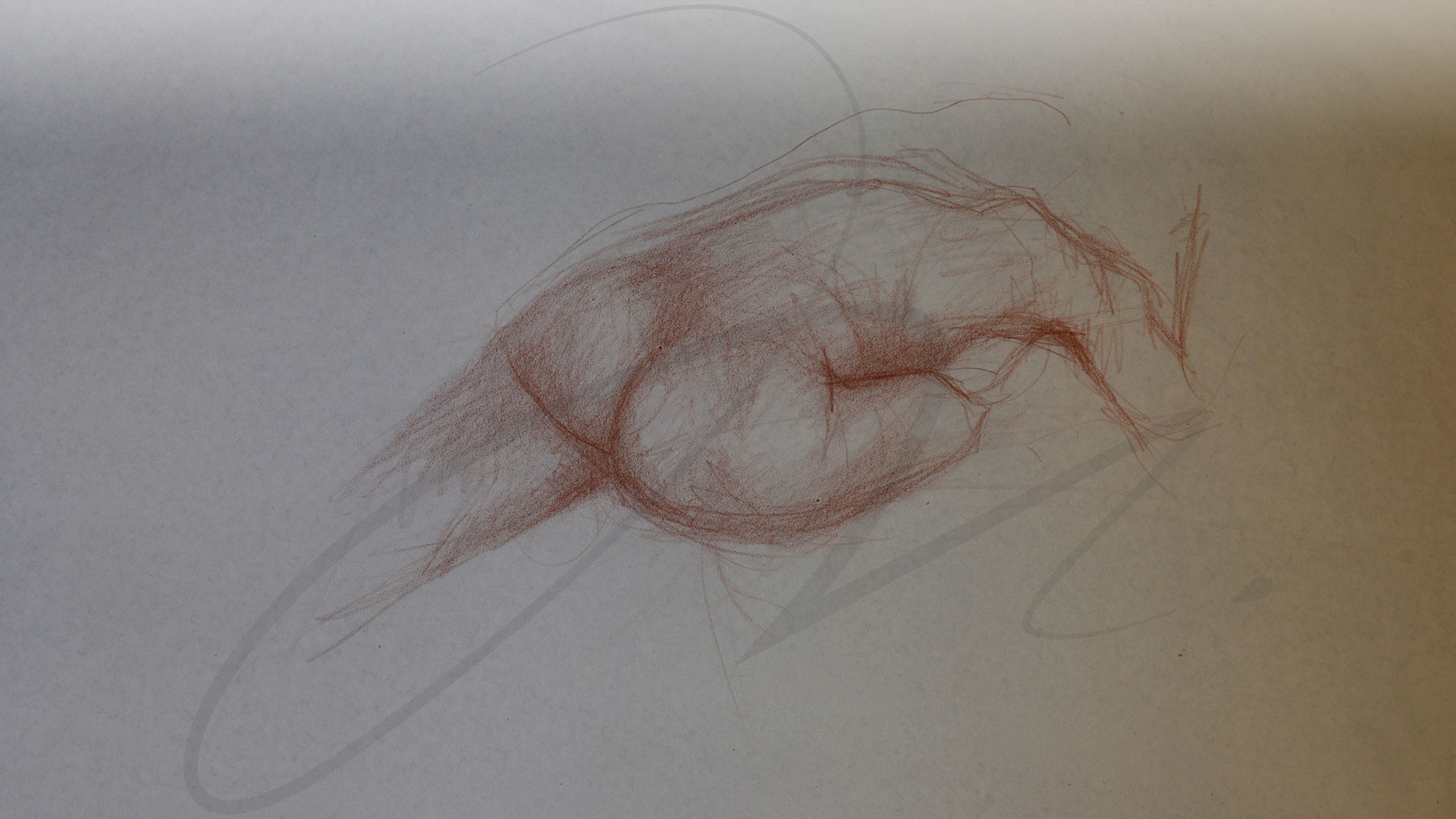 MirellaDaniell